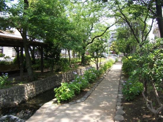 Furukawa Shinsui Park
